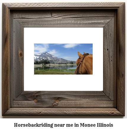 horseback riding near me in Monee, Illinois